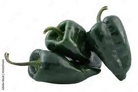 Chile Poblano 